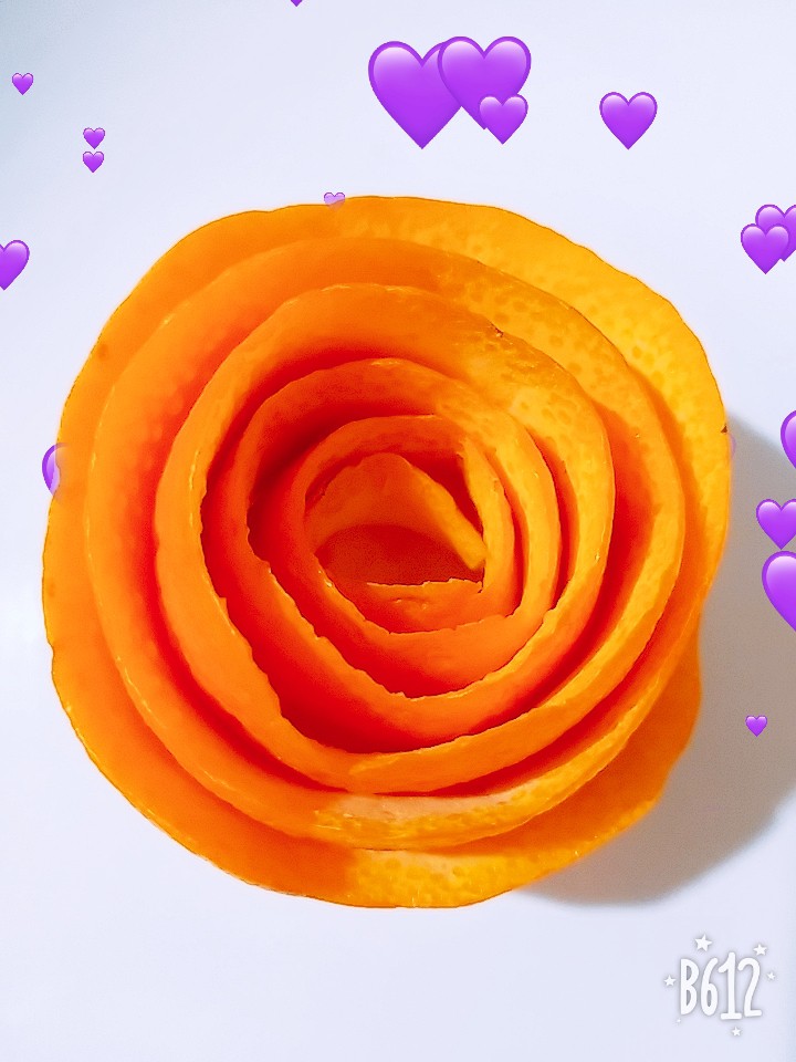 hoa hồng cam?
