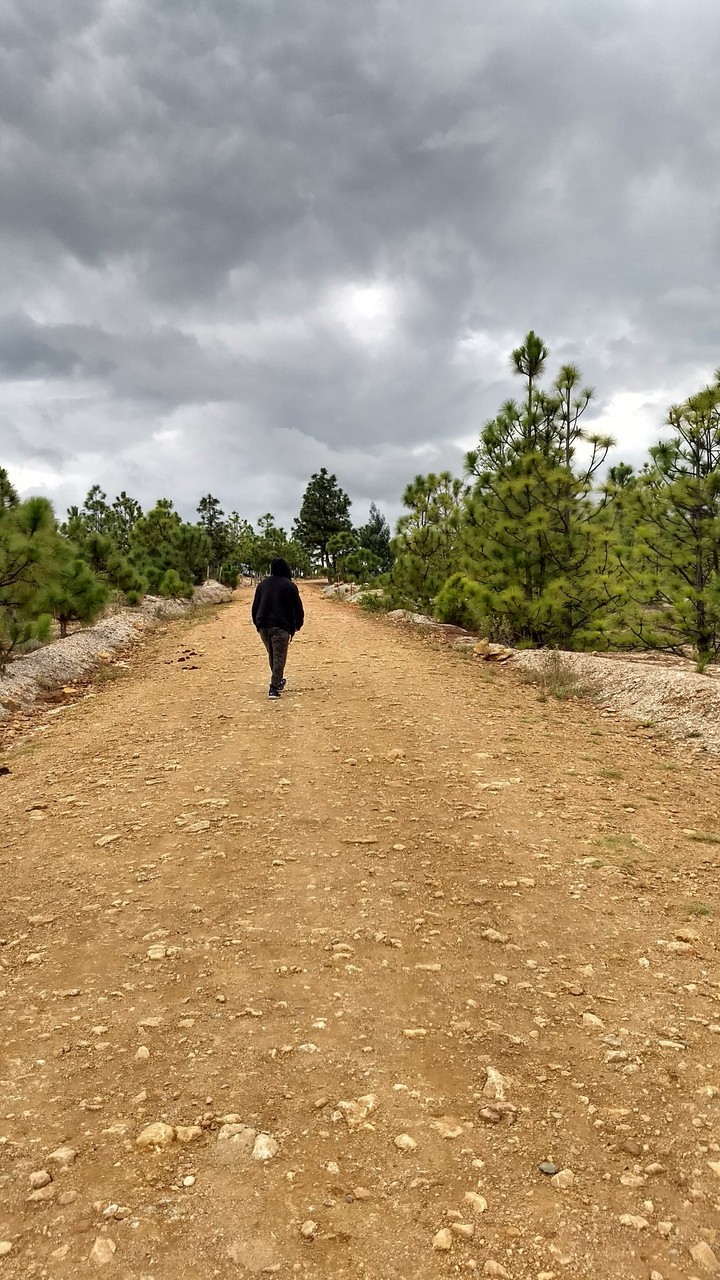 Long Road