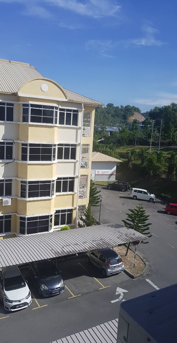 Morning view