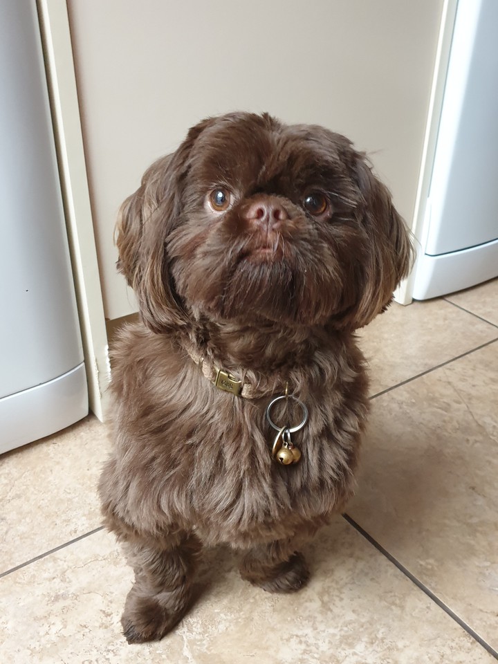 I'm such a handsome boy!!