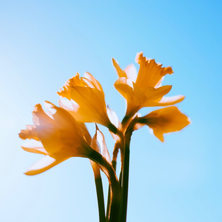 Spring has sprung