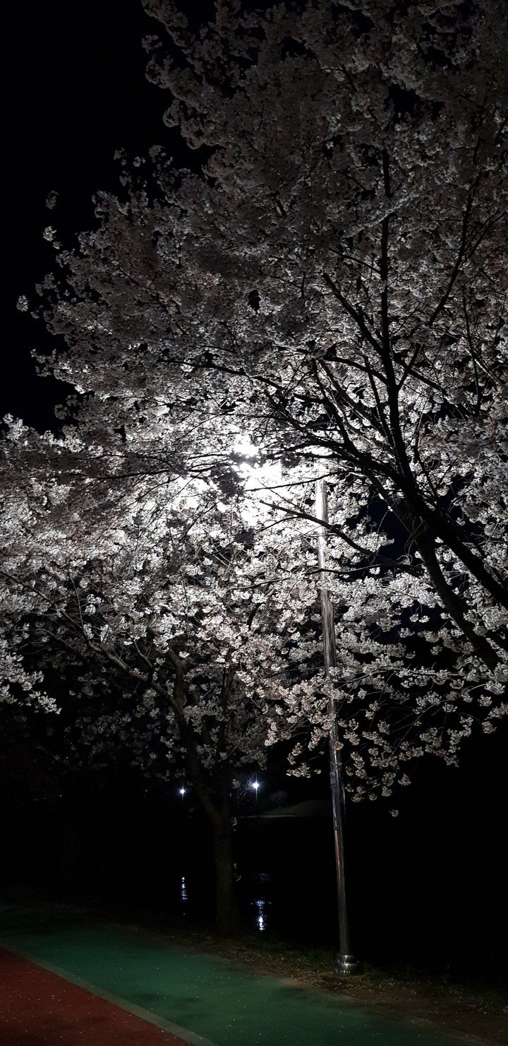 night