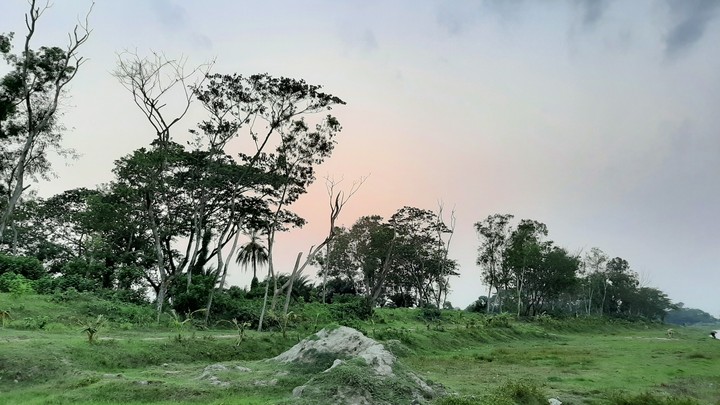 Natural beauty of nature