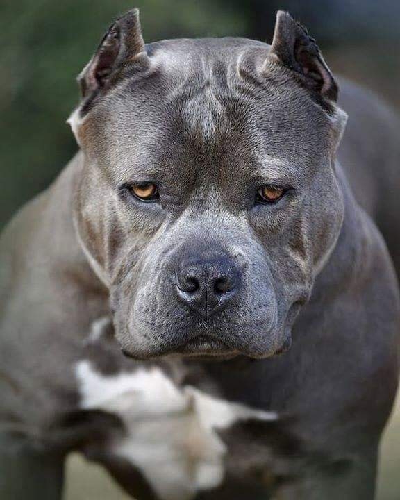 *