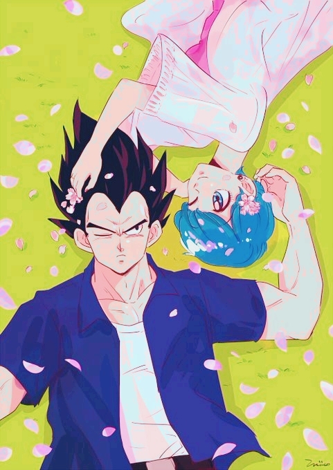 Vegeta & Bulma