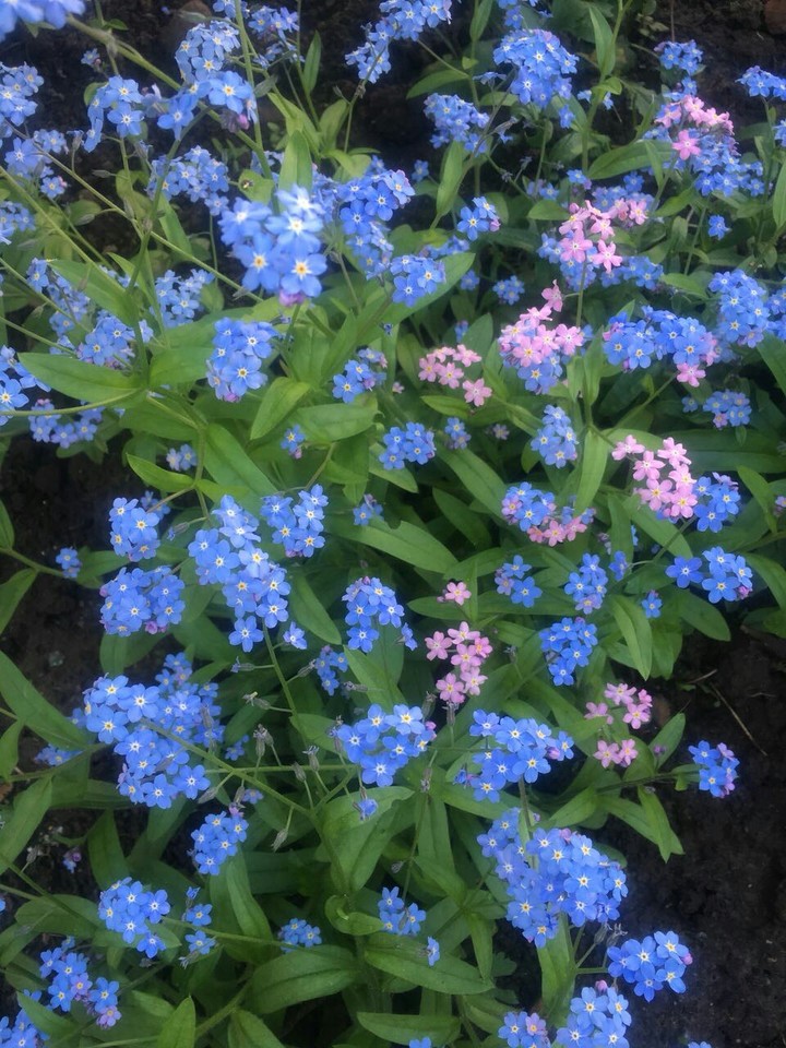 near the house
