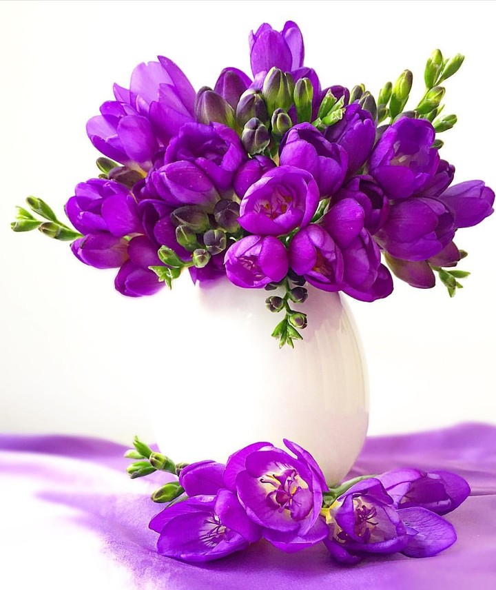 purple
