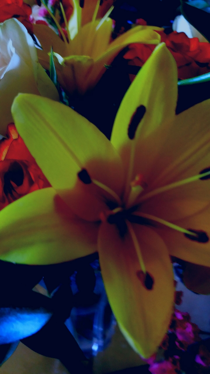 bouquet of flowers