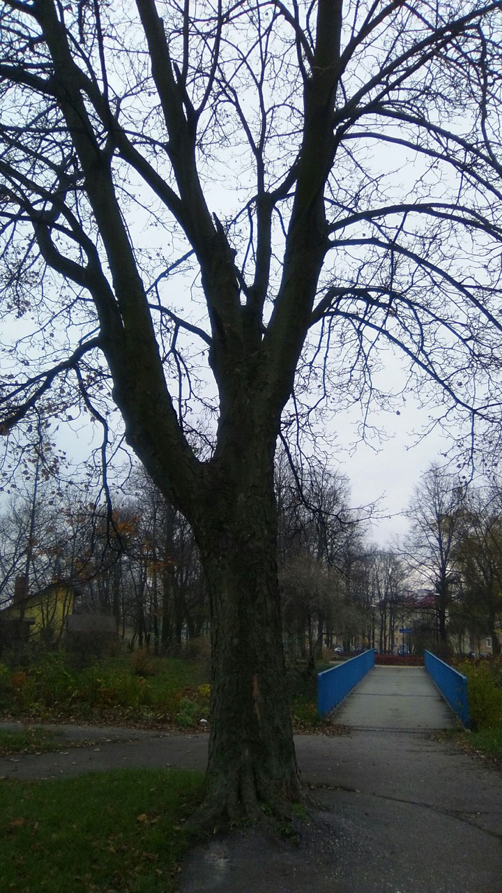 jesienny dzień