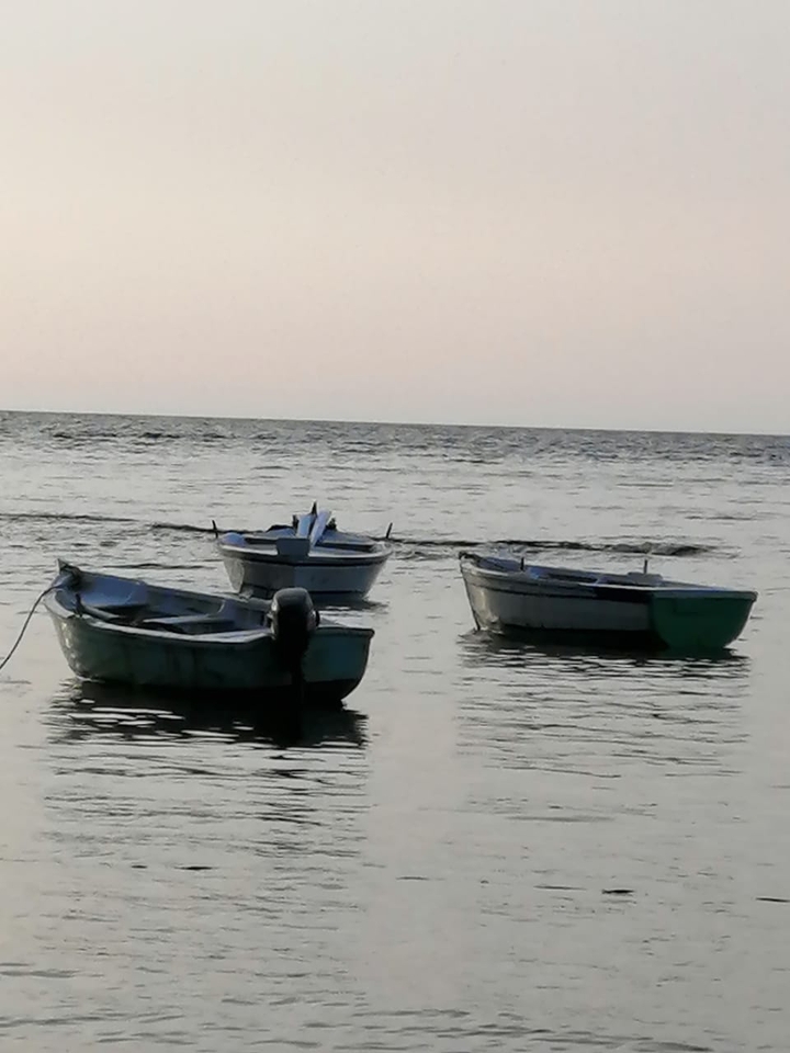 boats