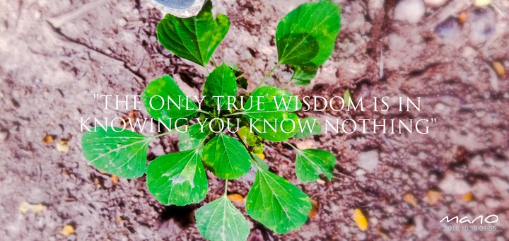 only green