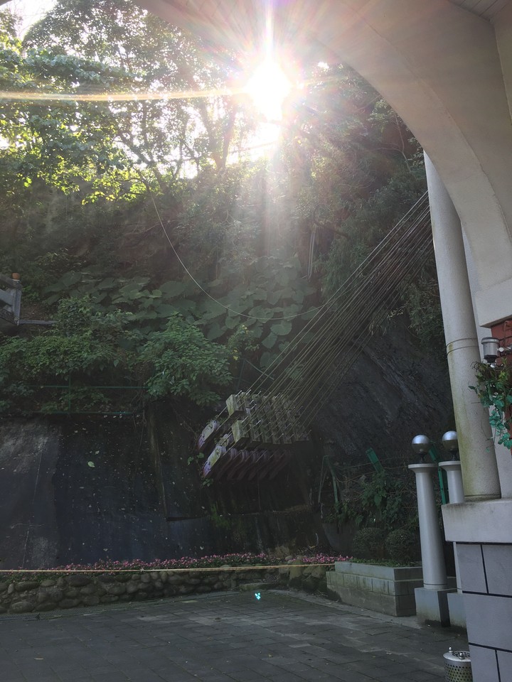 The sunshine in the forest.