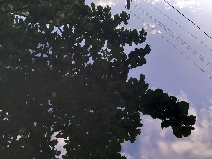 reflection in the water