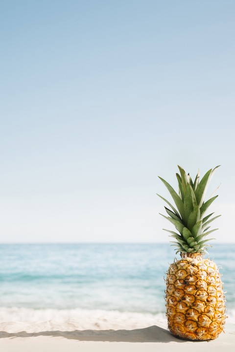 обои tropics, bromeliads