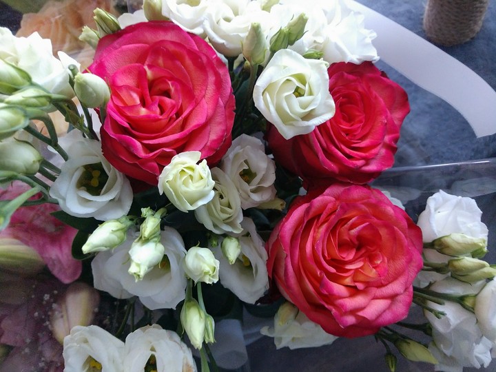 rose