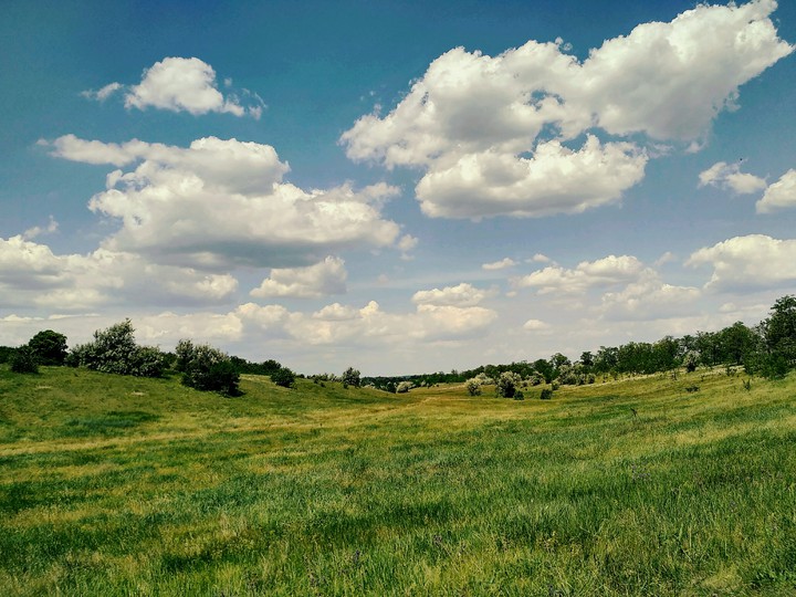 Зеленая балка, красивое голубое небо