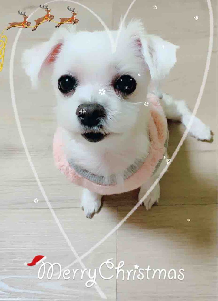 ♥️