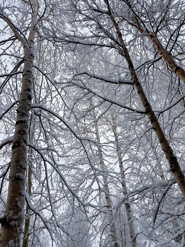 Весенний снег