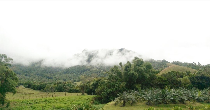 Gloomy day