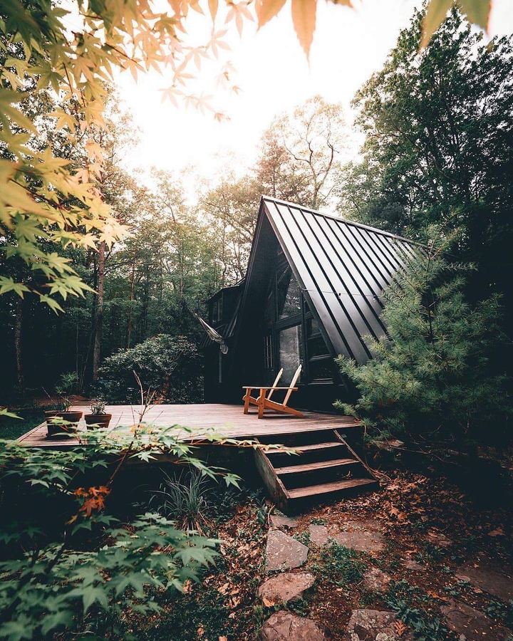 forest house