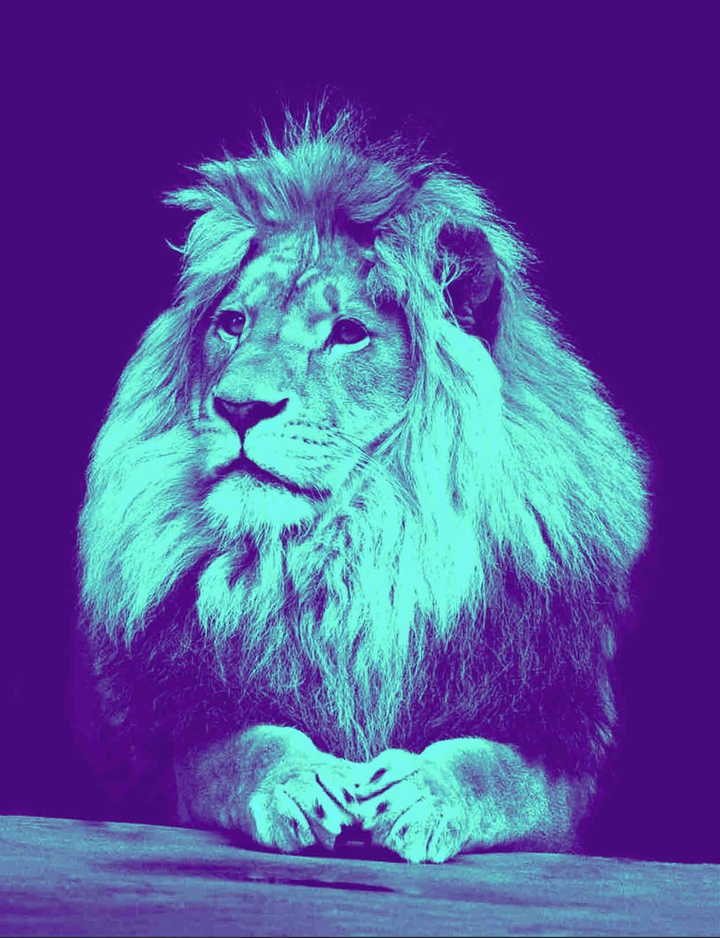 LiON HDR