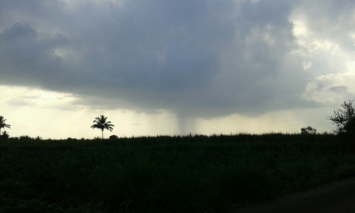 Nature effect when raining............