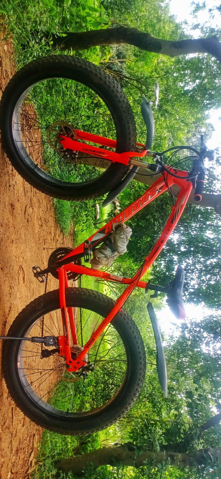 fat  bicycle