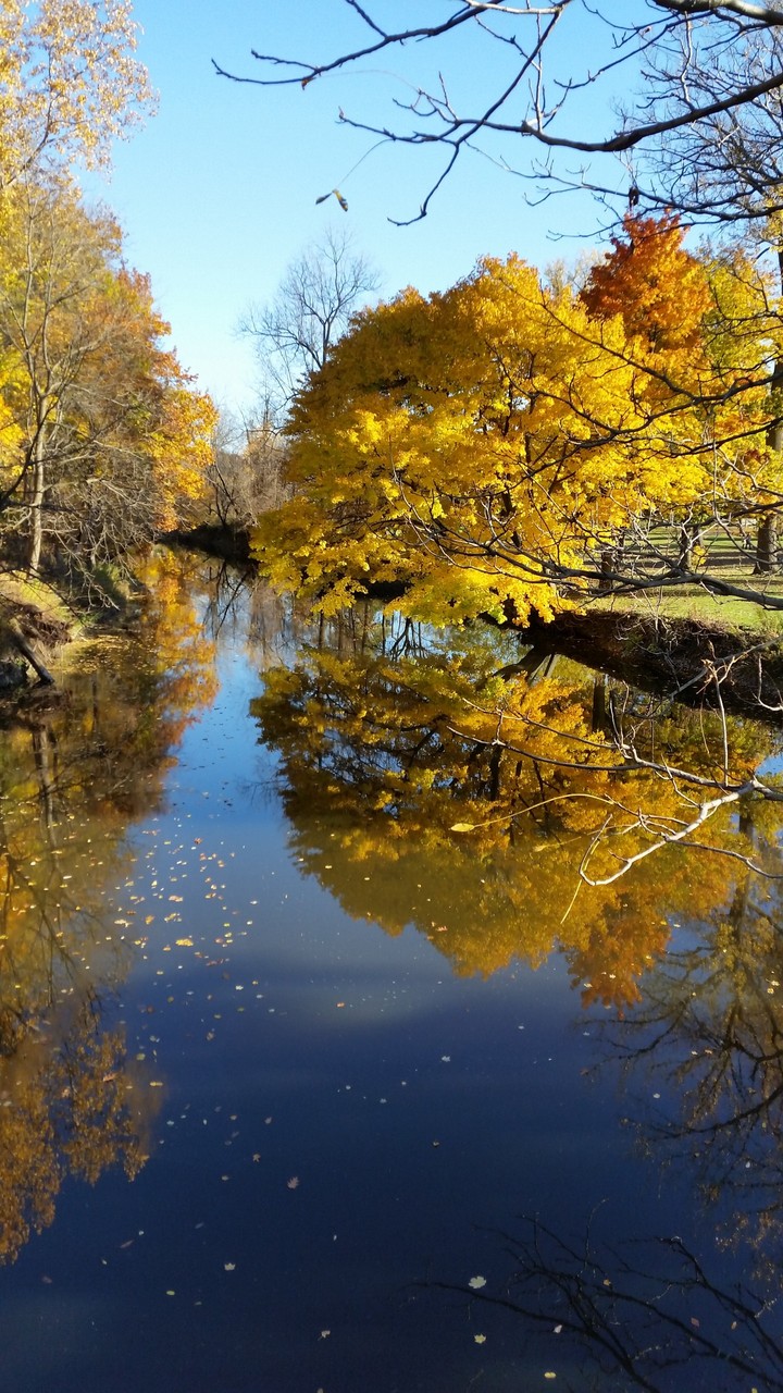fall in the park