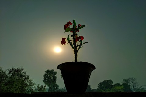 beautiful night