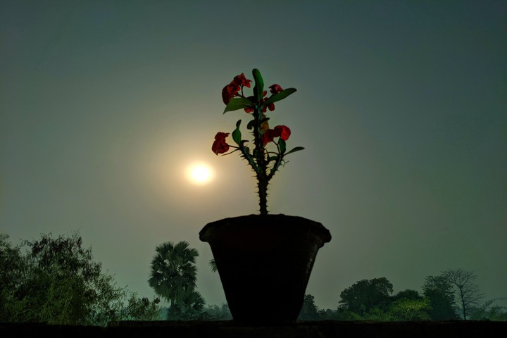 beautiful night