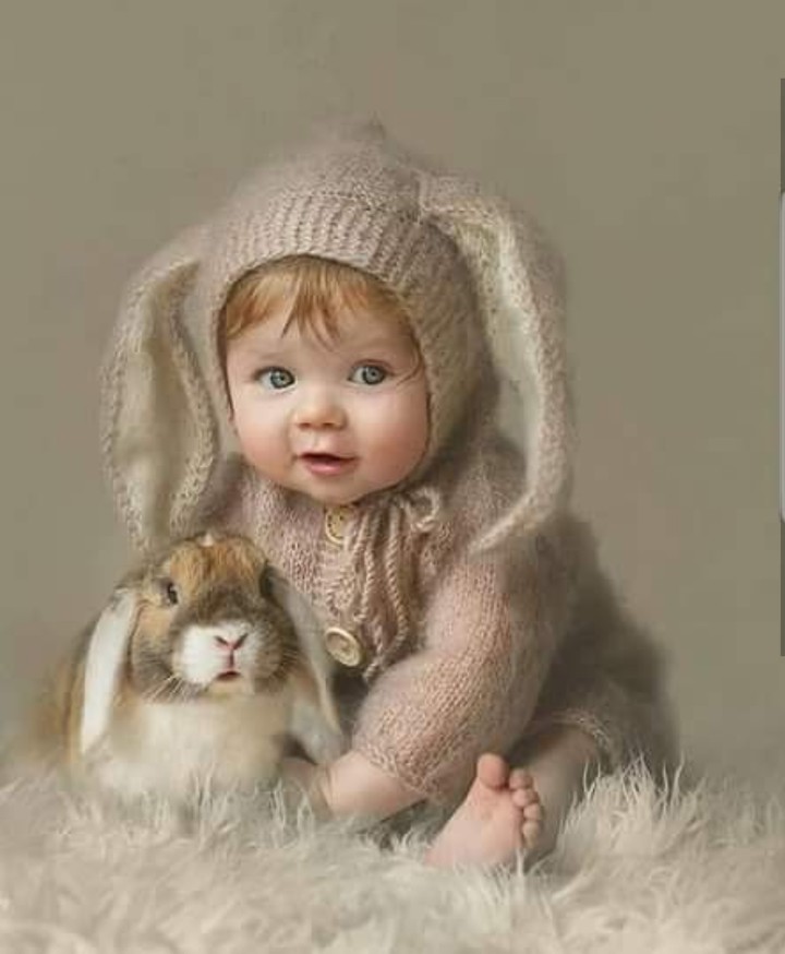 bunny