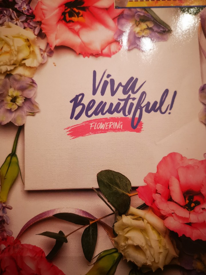 viva beautiful