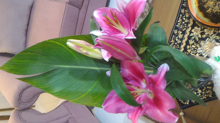 my flower