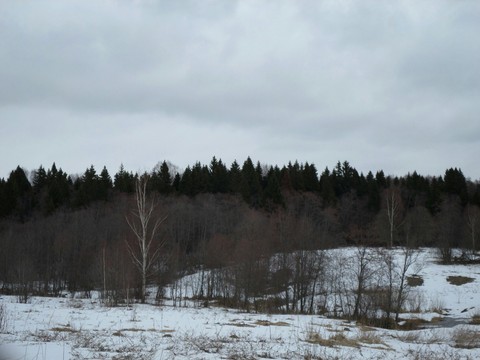 winter dream