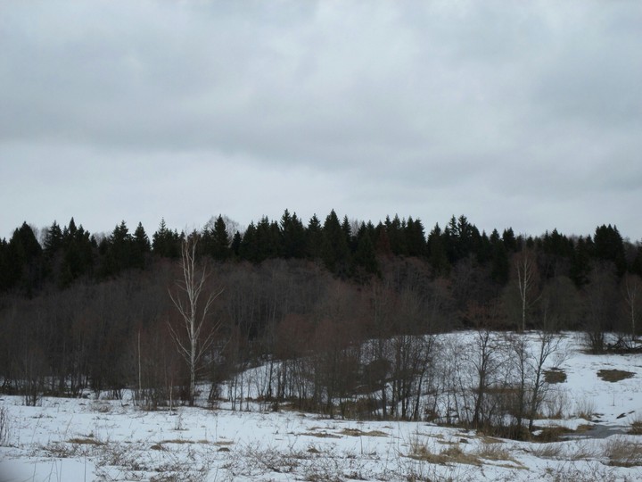 winter dream