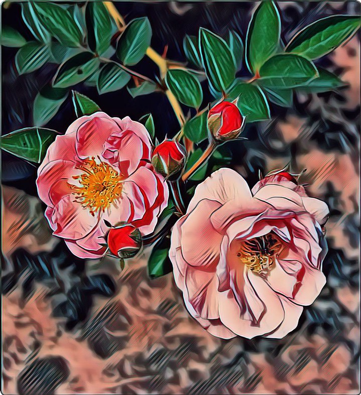 love the nature