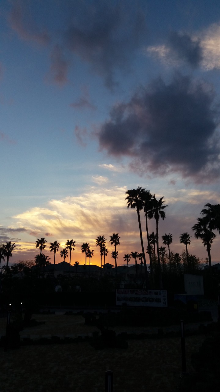 Sunset