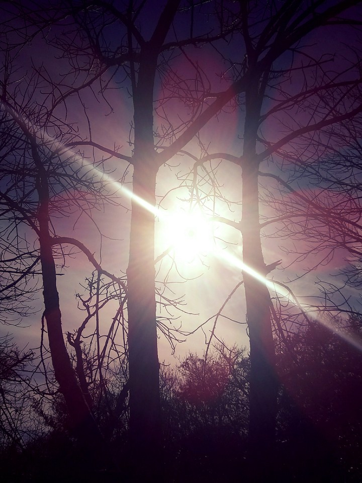 Sunshine