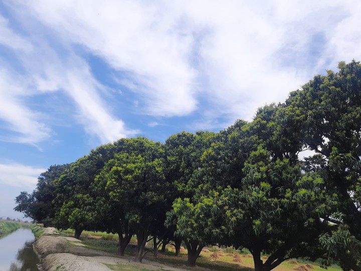 beauty of nature