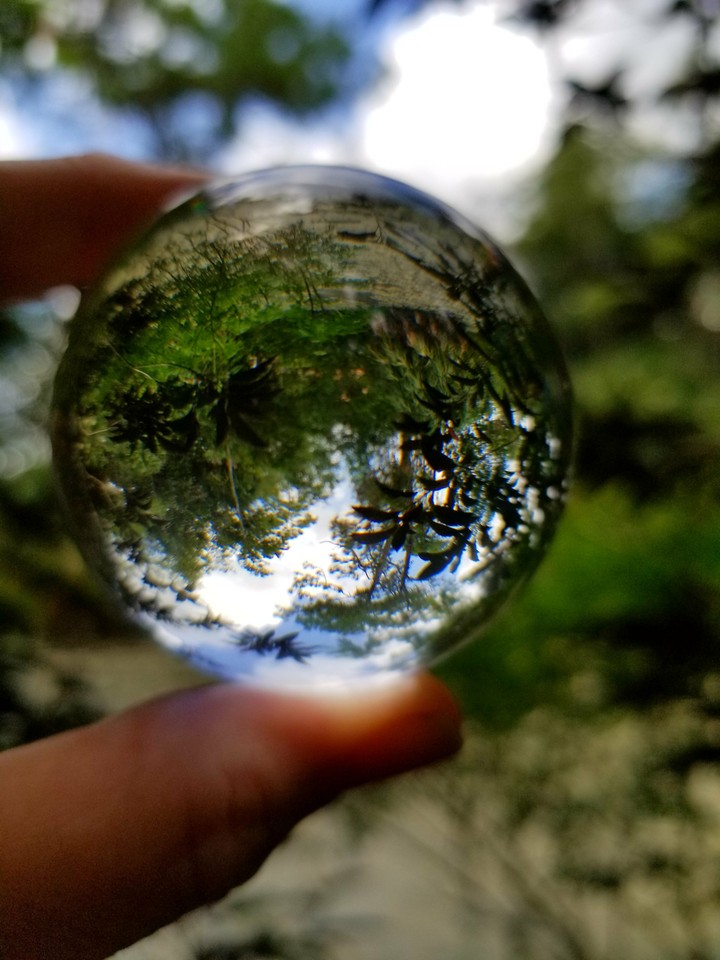 The world in my hand