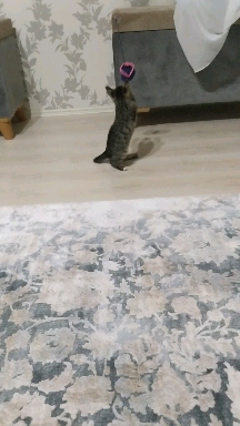 H.A.