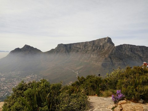 table mountain