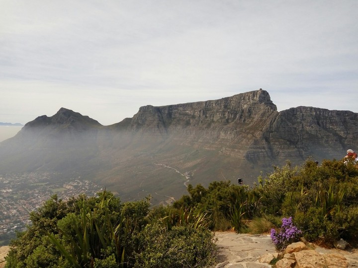 table mountain