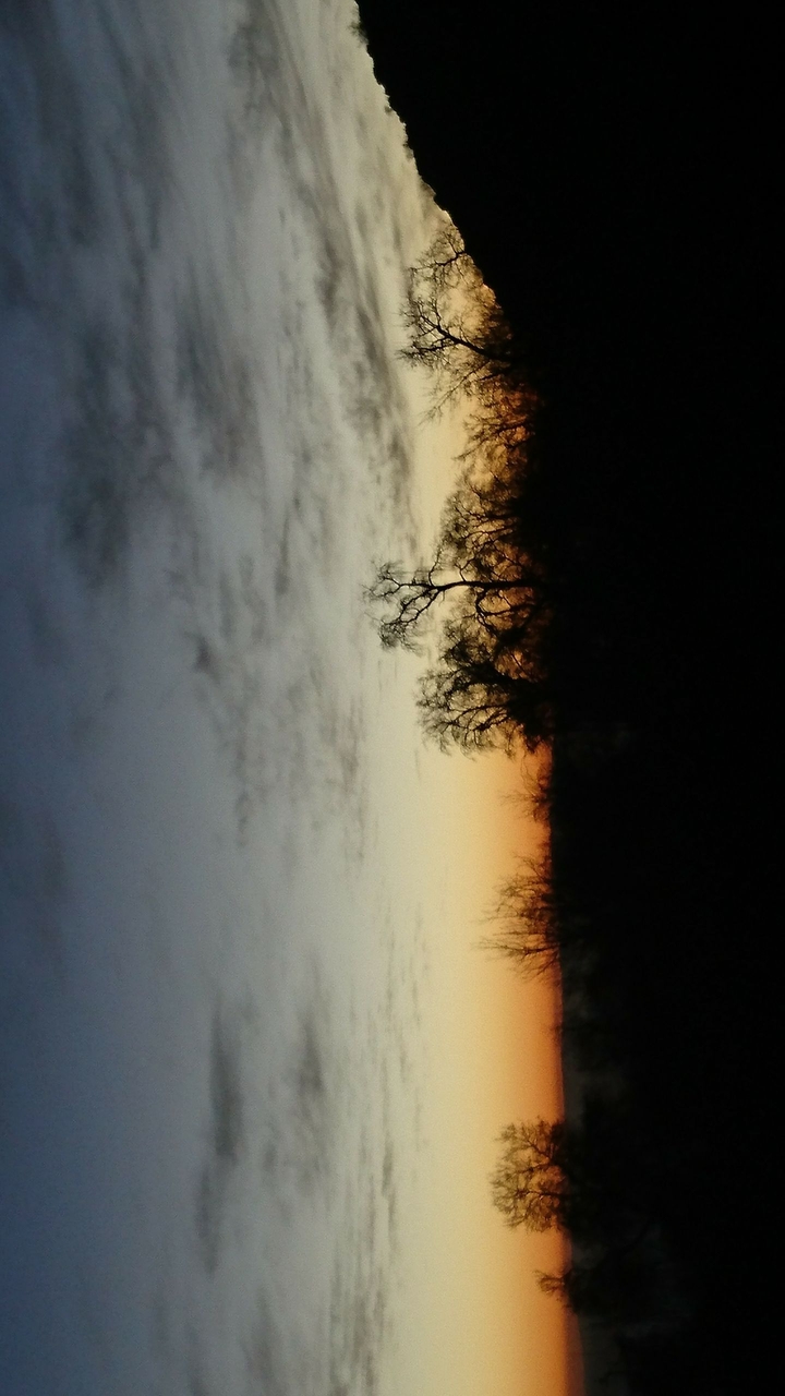 nature