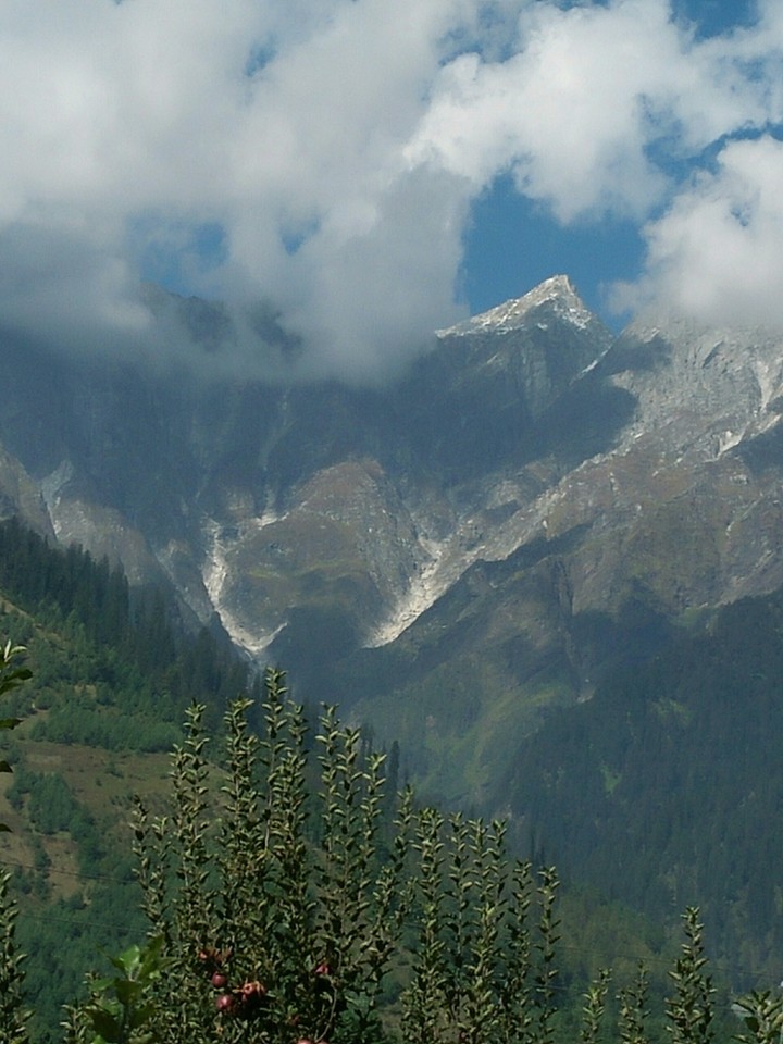 solan, himachal
