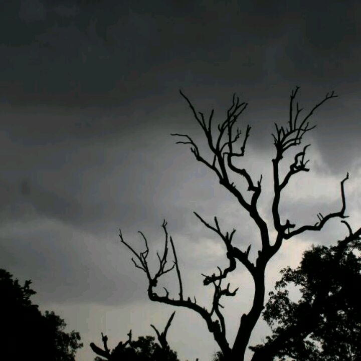 rainy weather