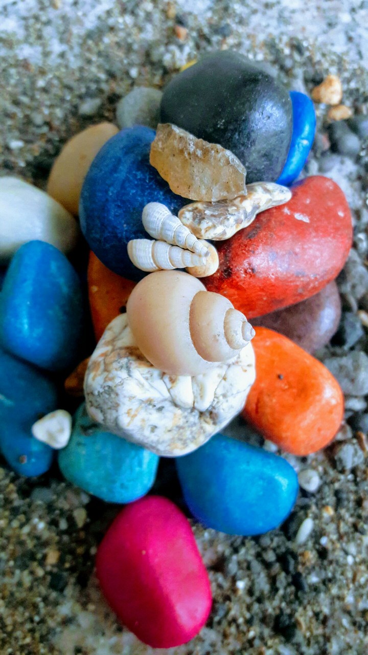 shell