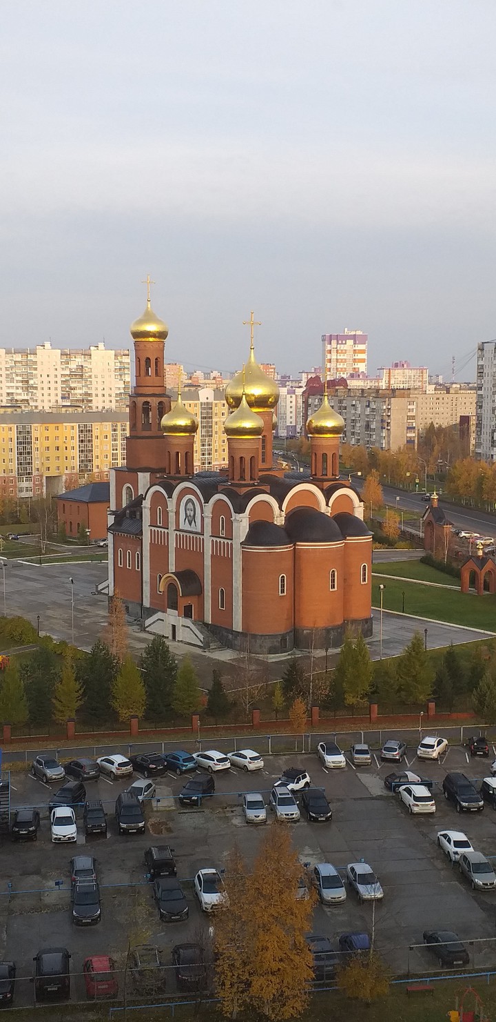 вид из моего окна