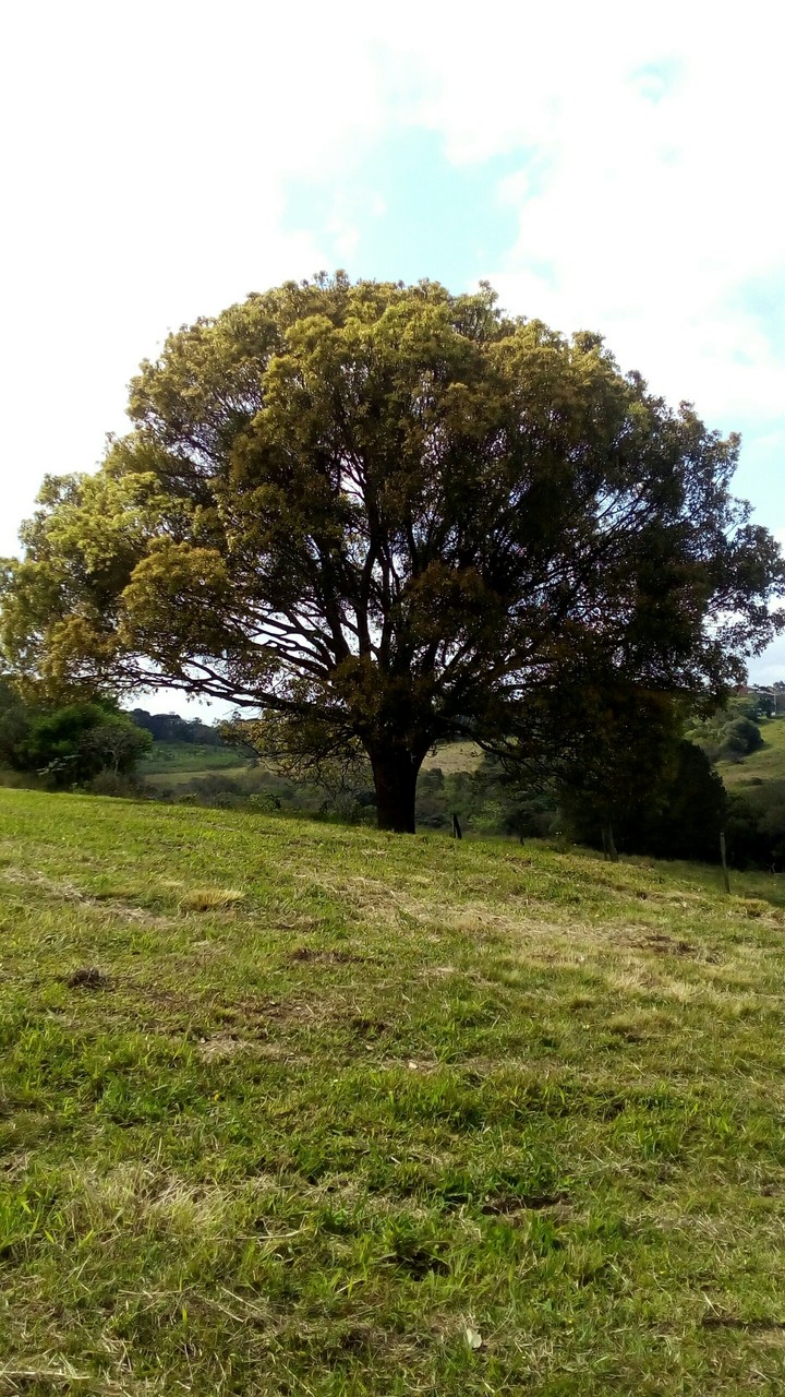 natureza é tudo de bom