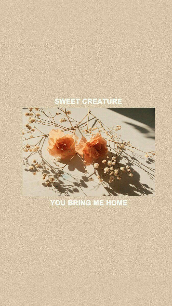 Art Aesthetic #3